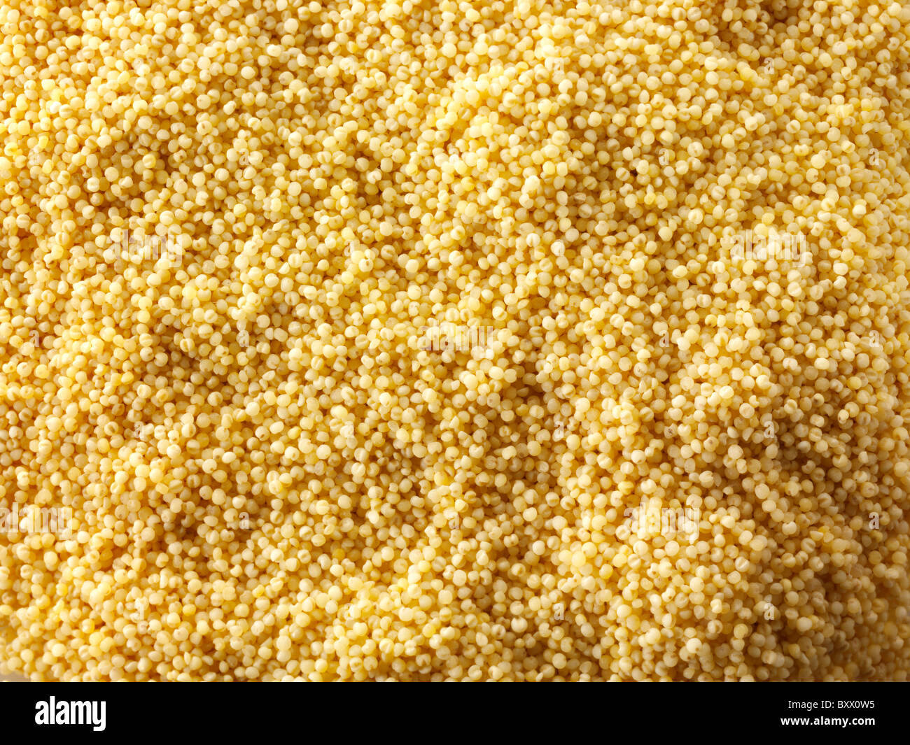 Golden millet hires stock photography and images Alamy