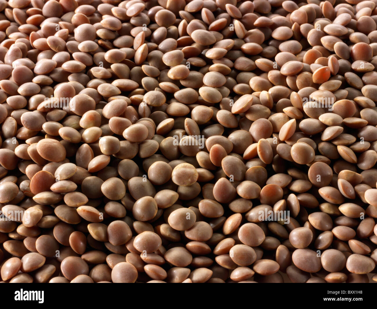 Whole Brown Lentils Beans Stock Photo Alamy