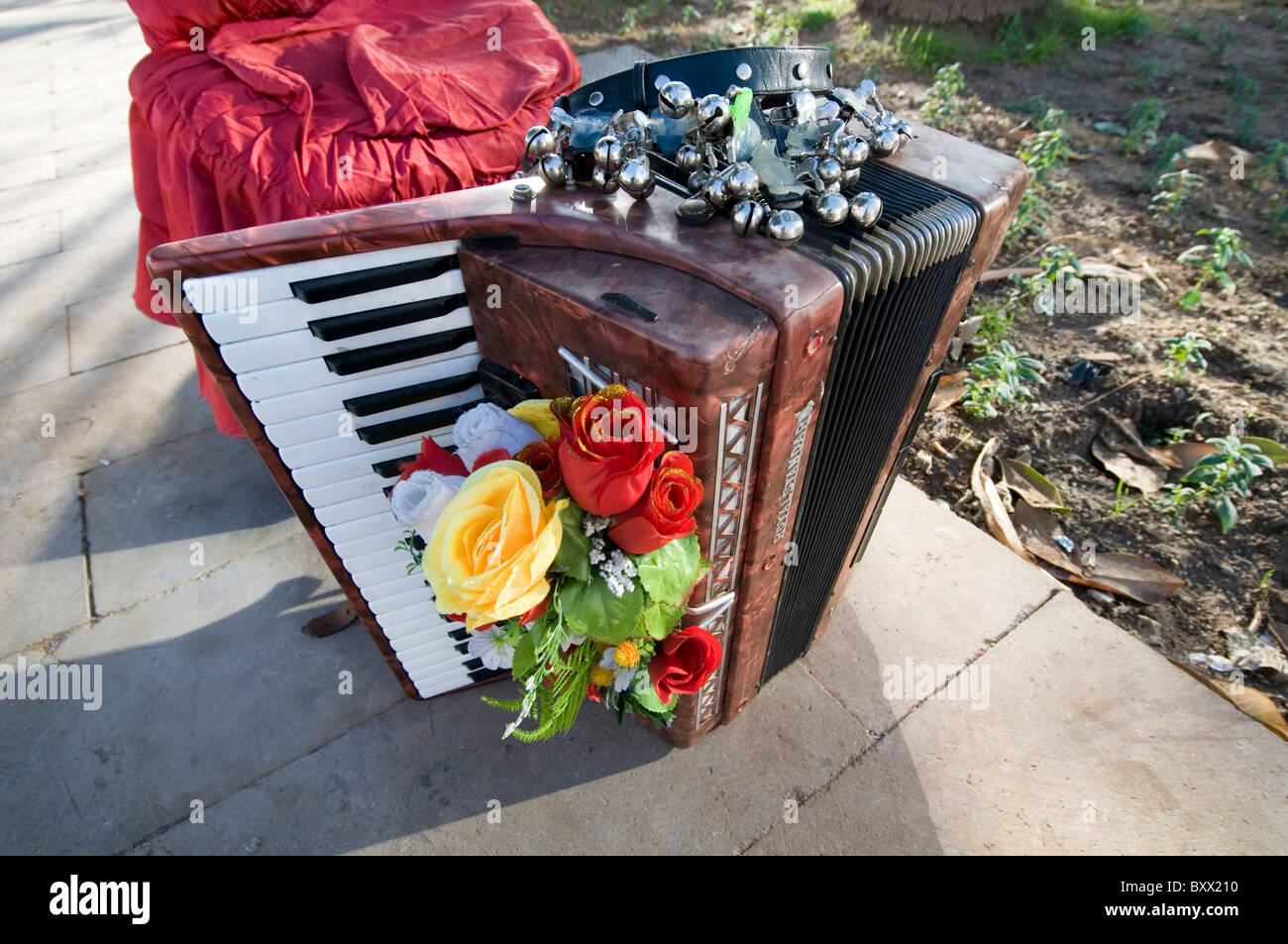 accordion accordions folk music traditional instrument instruments