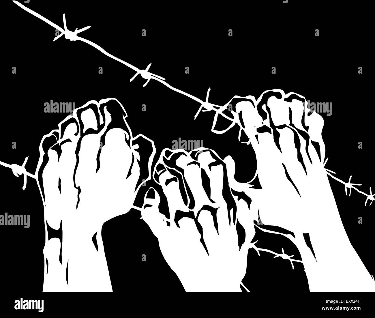 vector silhouette of the barbed wire on white background Stock Photo ...