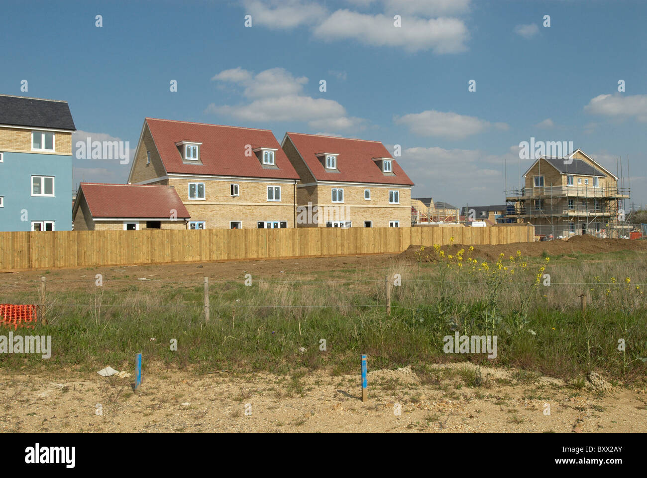 Housing development Cambridge UK Stock Photo Alamy