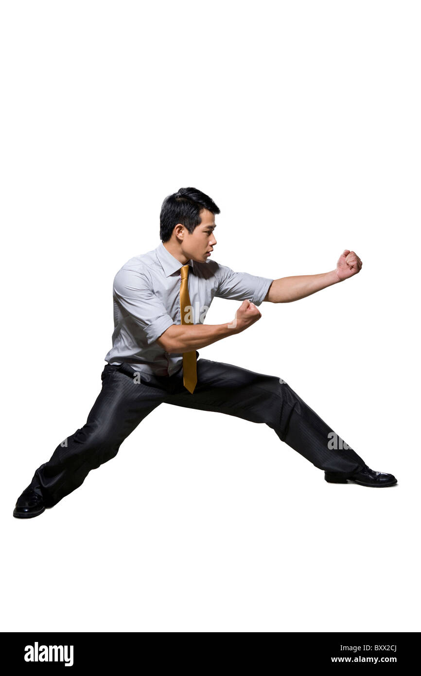 Businessman in martial arts fighting stance Stock Photo Alamy