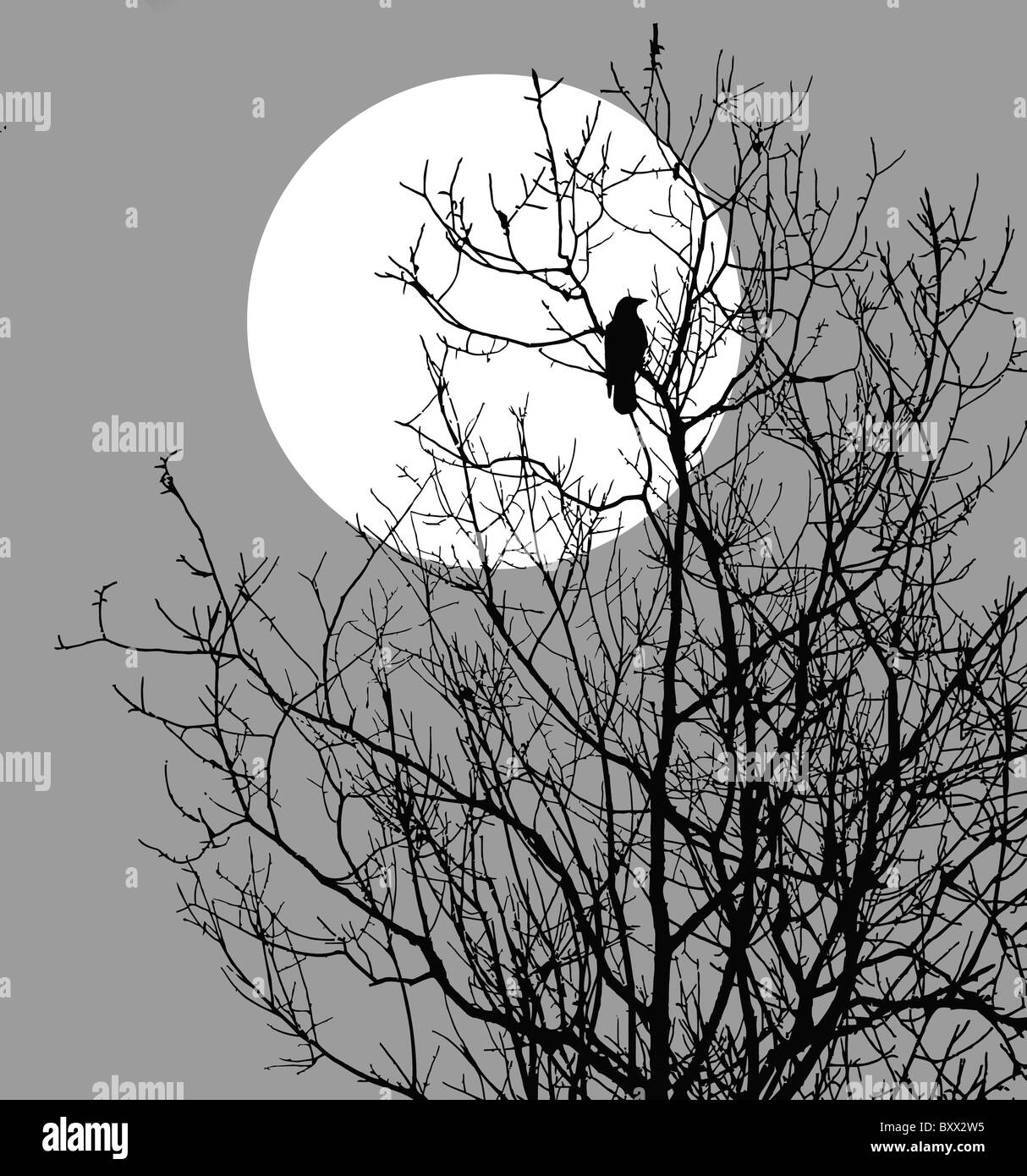 vector illustration ravens sitting on tree against sun Stock Photo