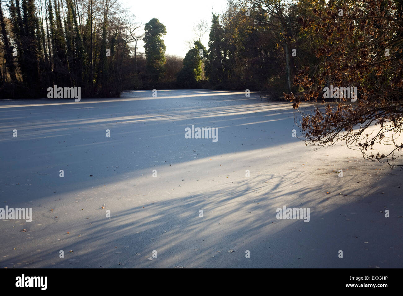 Frozen pond Loam Ponds, Sutton, Suffolk, England Stock Photo