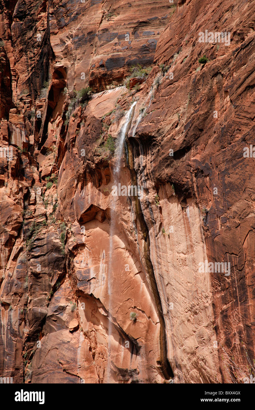 Waterfall at Weeping Rock in Zion National Park, Utah, USA Stock Photo