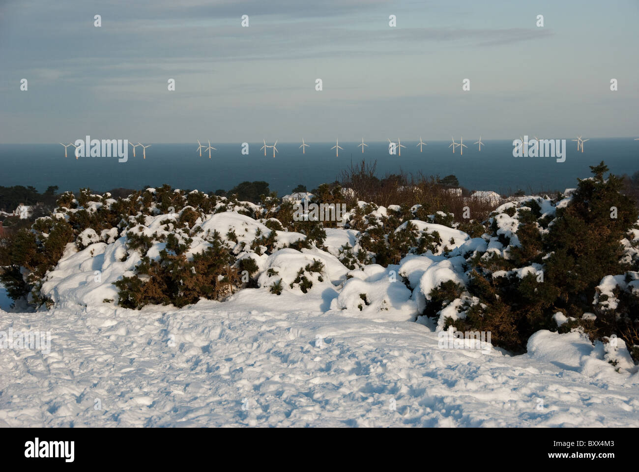 Snow covered landscape with Wind Farm in background Stock Photo - Alamy