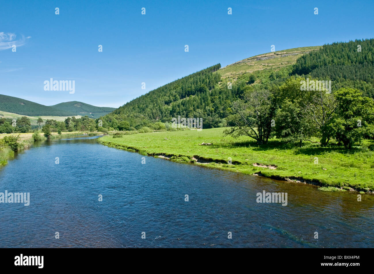 River Tweed nr Innerleithen Scottish Borders Scotland Stock Photo Alamy
