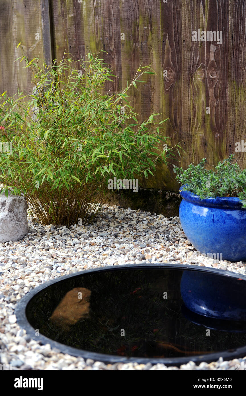 Small pond, bamboo plant and shingle in a garden Stock Photo