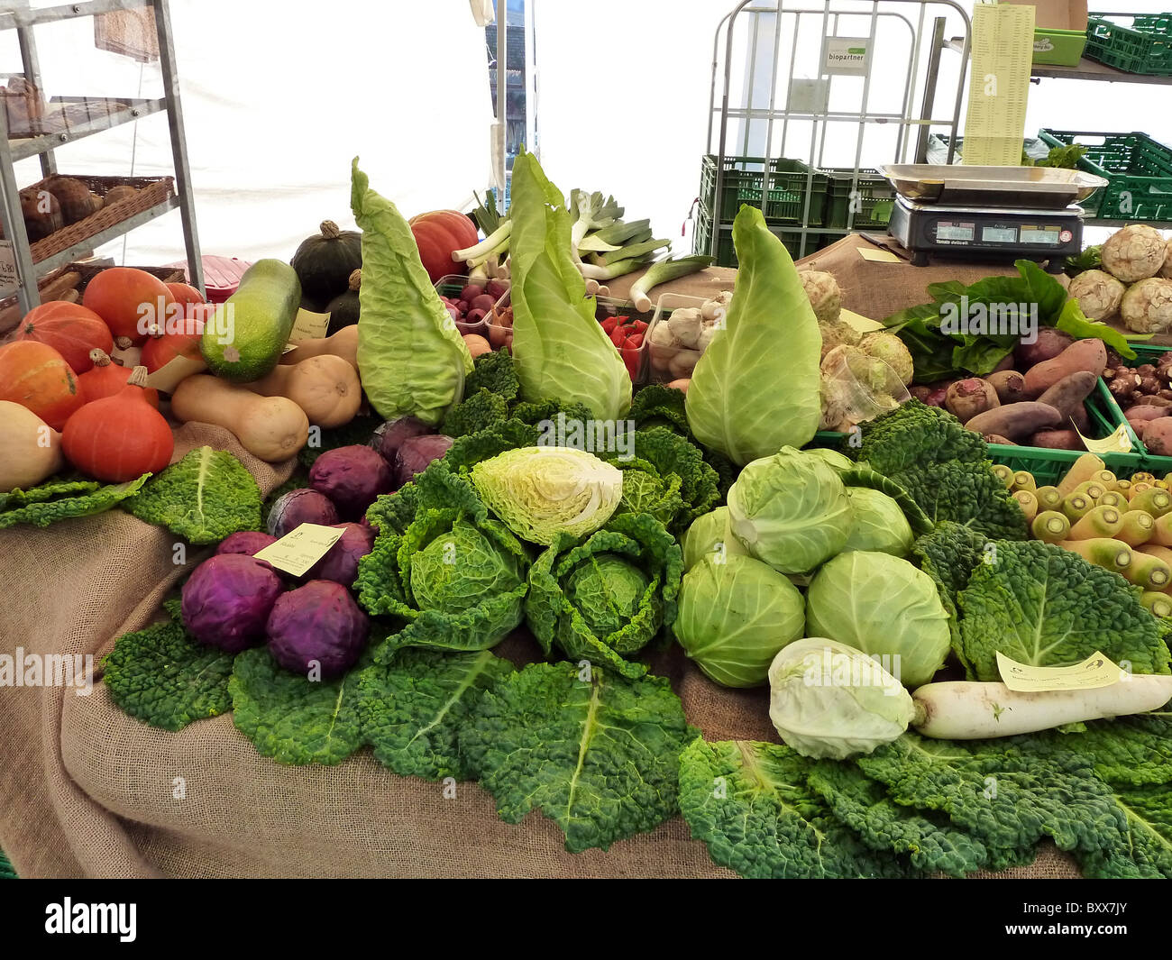 VEGETABLE STALL DISPLAY LUZERN SWITZERLAND LAKE LUZERN SWITZERLAND