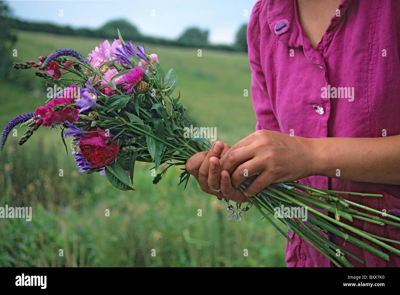 Lady with cut flowers Stock Photo - Alamy