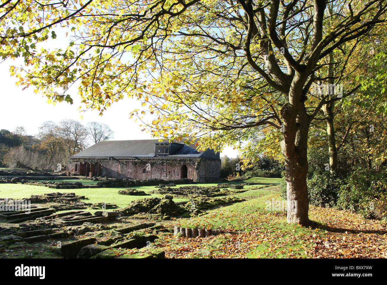 Norton Priory Museum & Gardens. Autumnal view of Norton Priory ruins