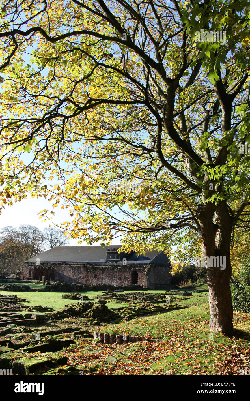 Norton Priory Museum & Gardens. Autumnal view of Norton Priory ruins