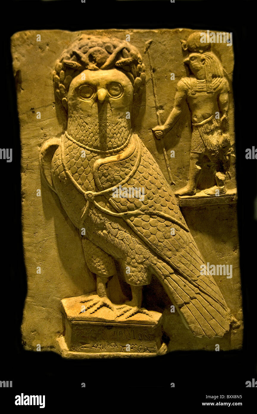 Votive Stela for sacred falcon right the sun god Re Horachte from 304 to 31 BC Stock Photo Alamy
