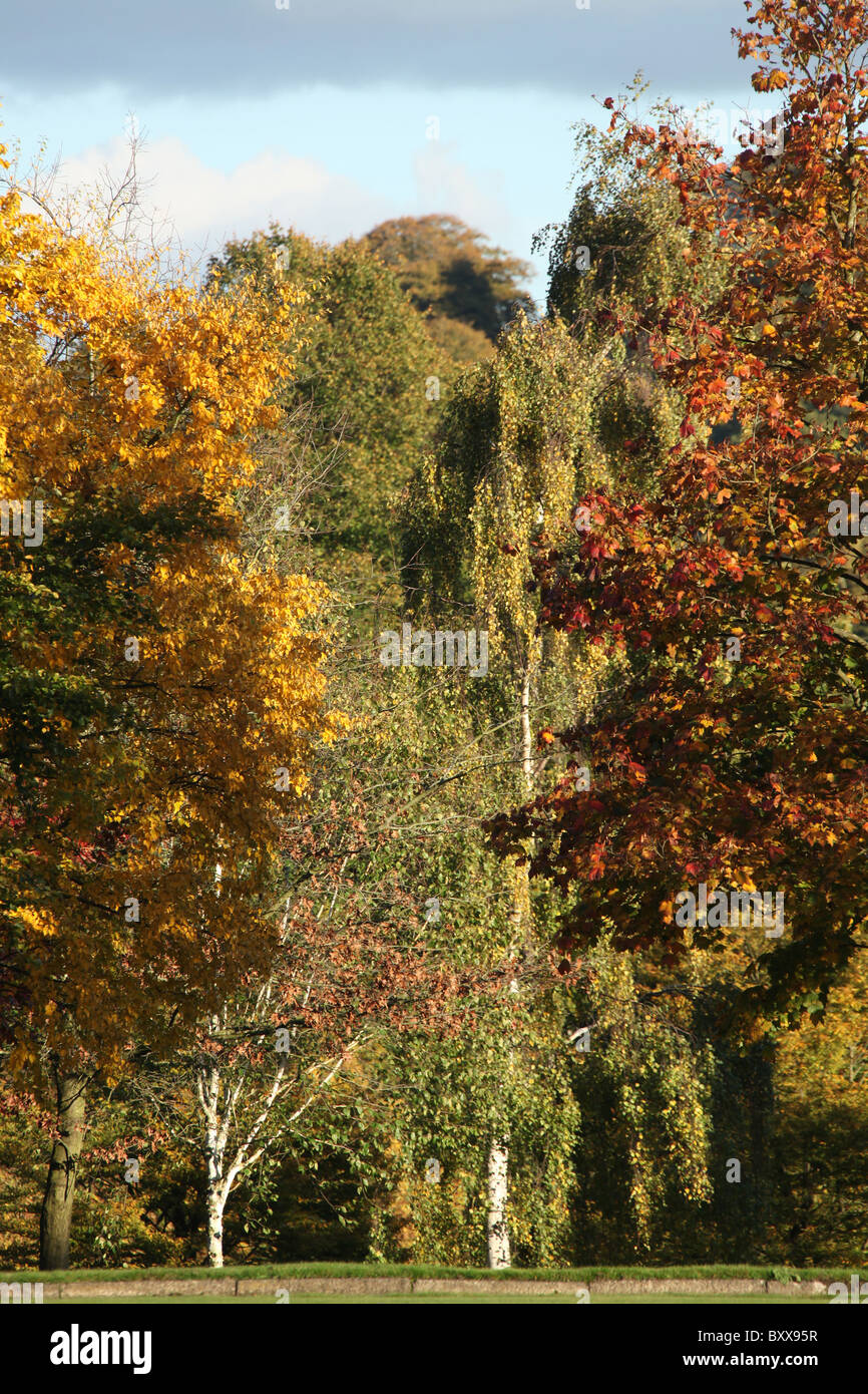 Walton Hall and Gardens. Autumnal view the of Walton Hall gardens Stock