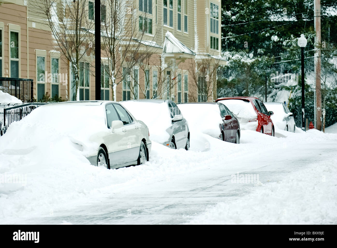 Cars covered with snow during blizzard. Stock Photo