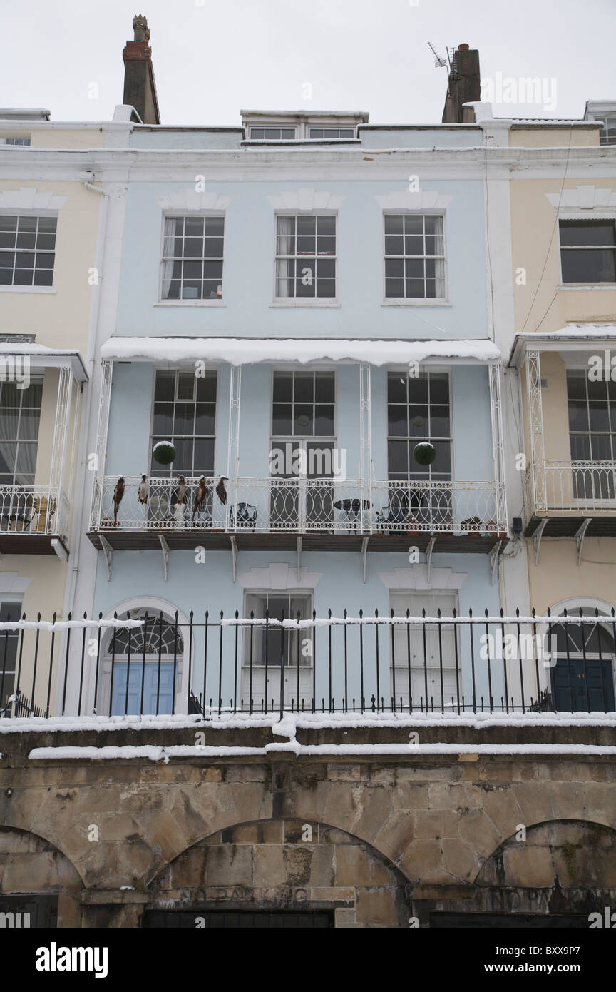 Bristol,Clifton,Snow,Royal York Crescent,Pheasants on