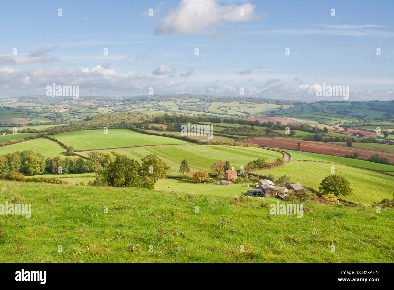 Llangwm hires stock photography and images Alamy