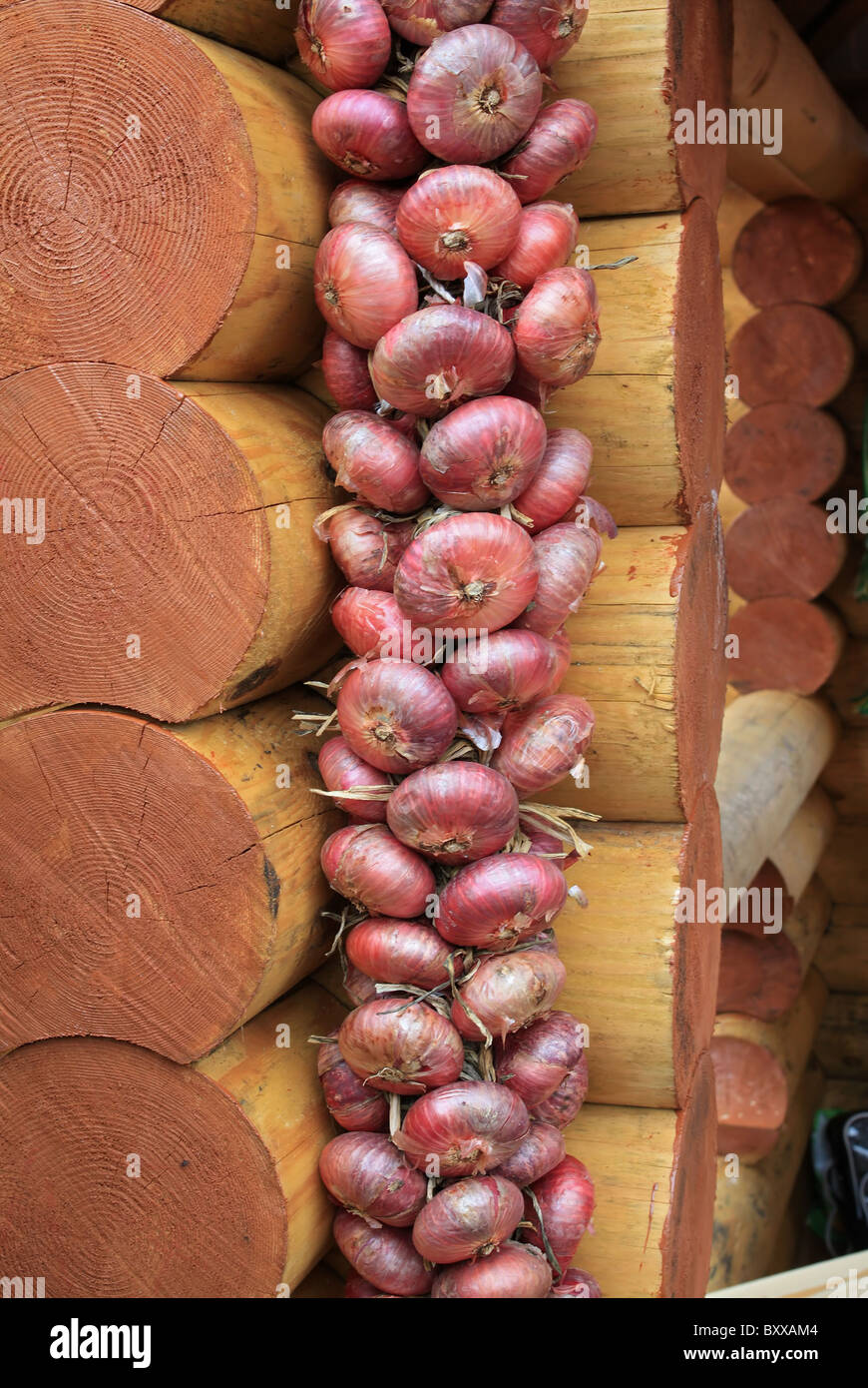 onion on wooden wall Stock Photo Alamy