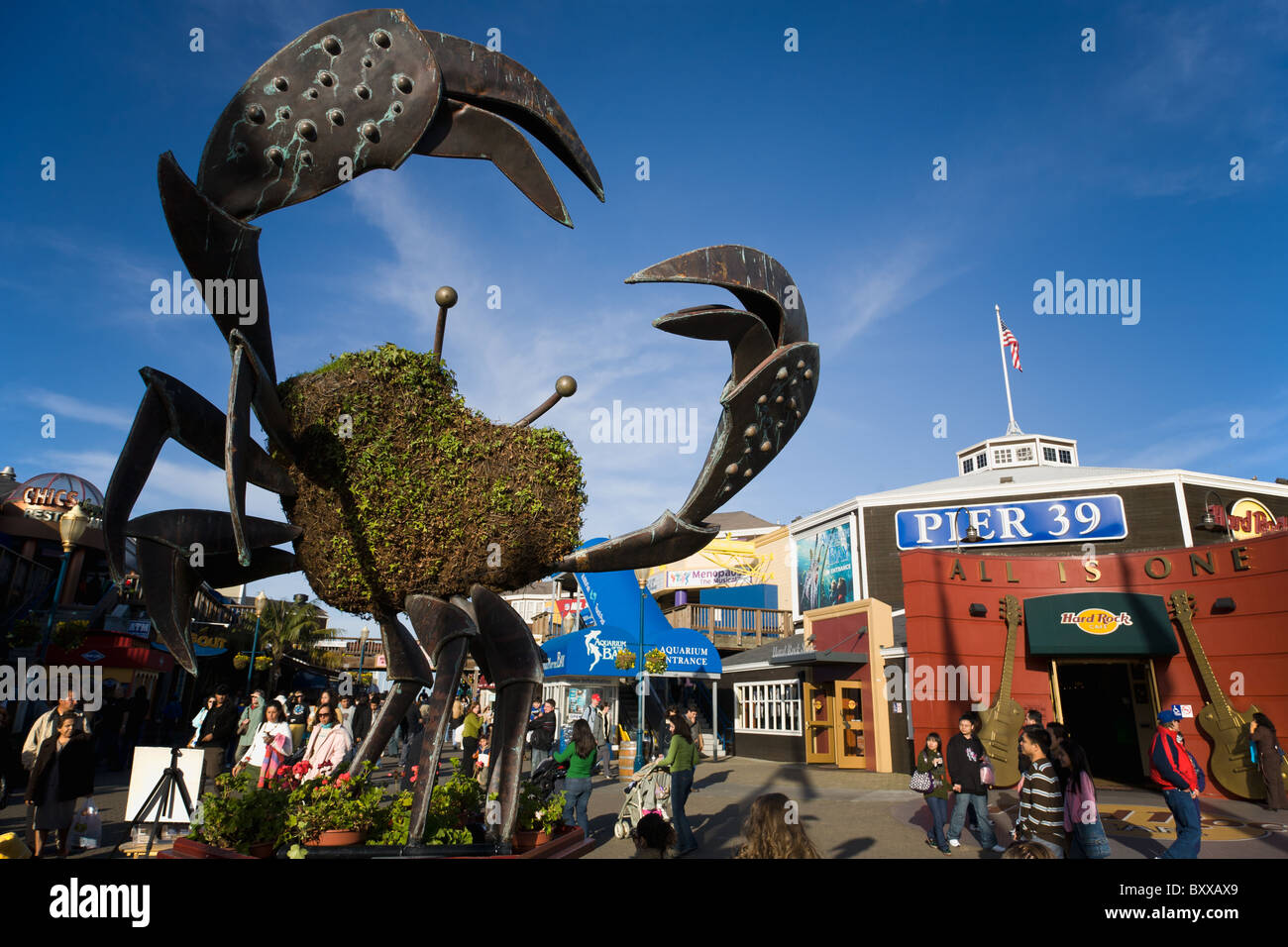 Crab Topiary sculpture at Pier 39, Fisherman's Wharf, San Francisco by Jeff Brees, installed in 2003 Stock Photo