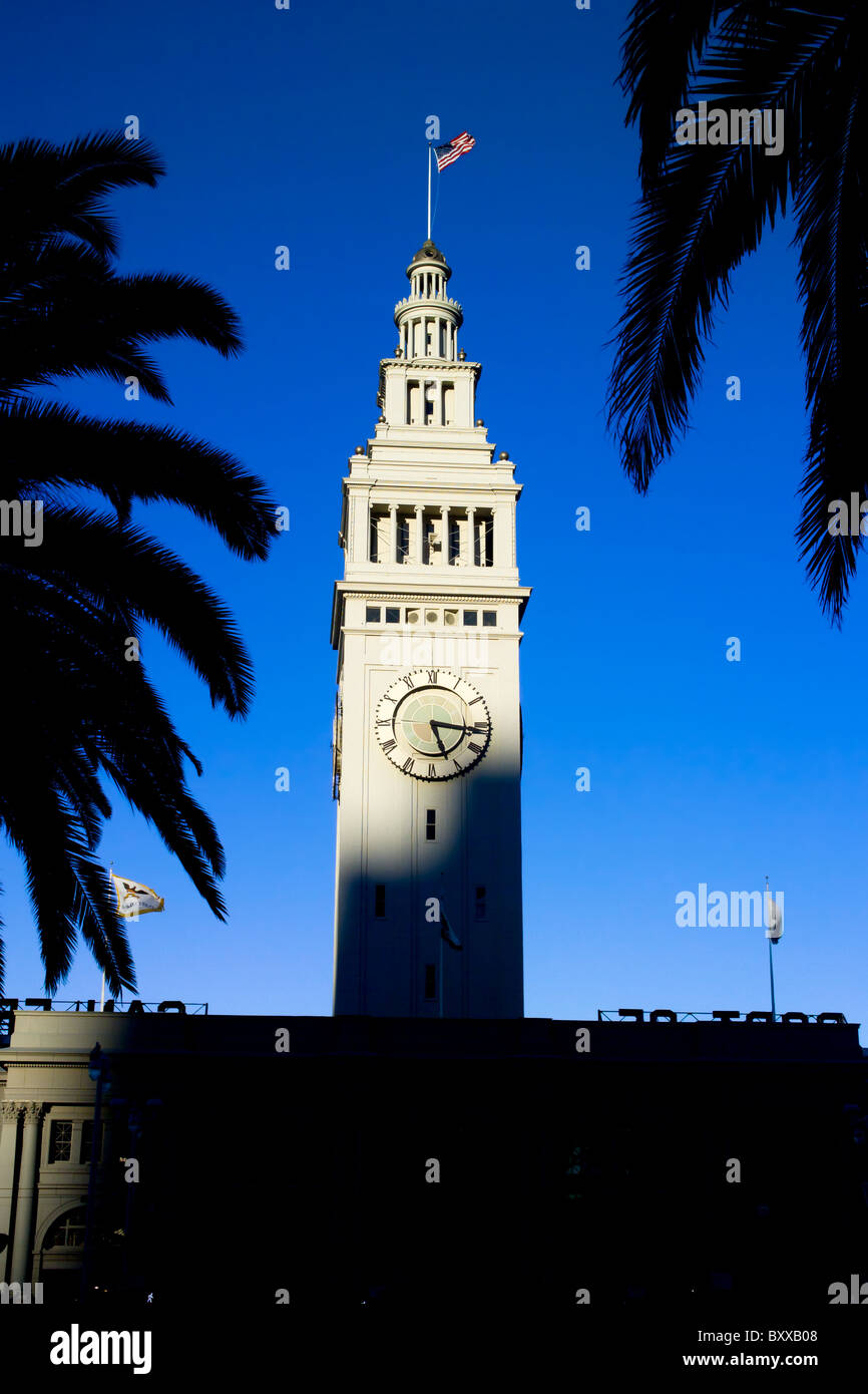 Clock Tower at the Port of San Francisco in California ferry building framed by palm trees Stock Photo