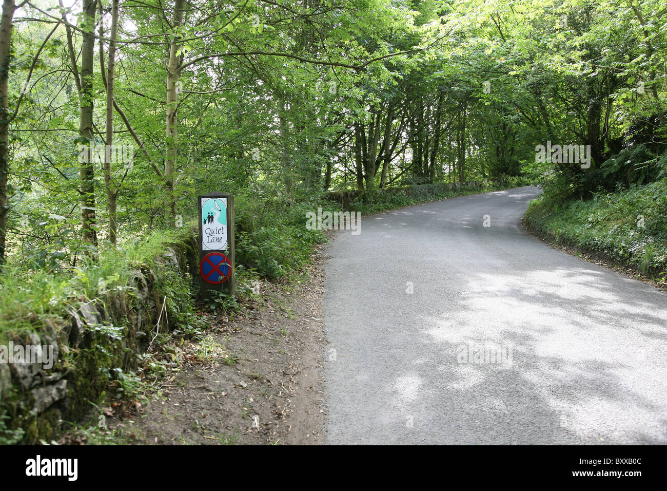 A Quiet Lane near to Alport and Lathkill Dale, Derbyshire Peak District