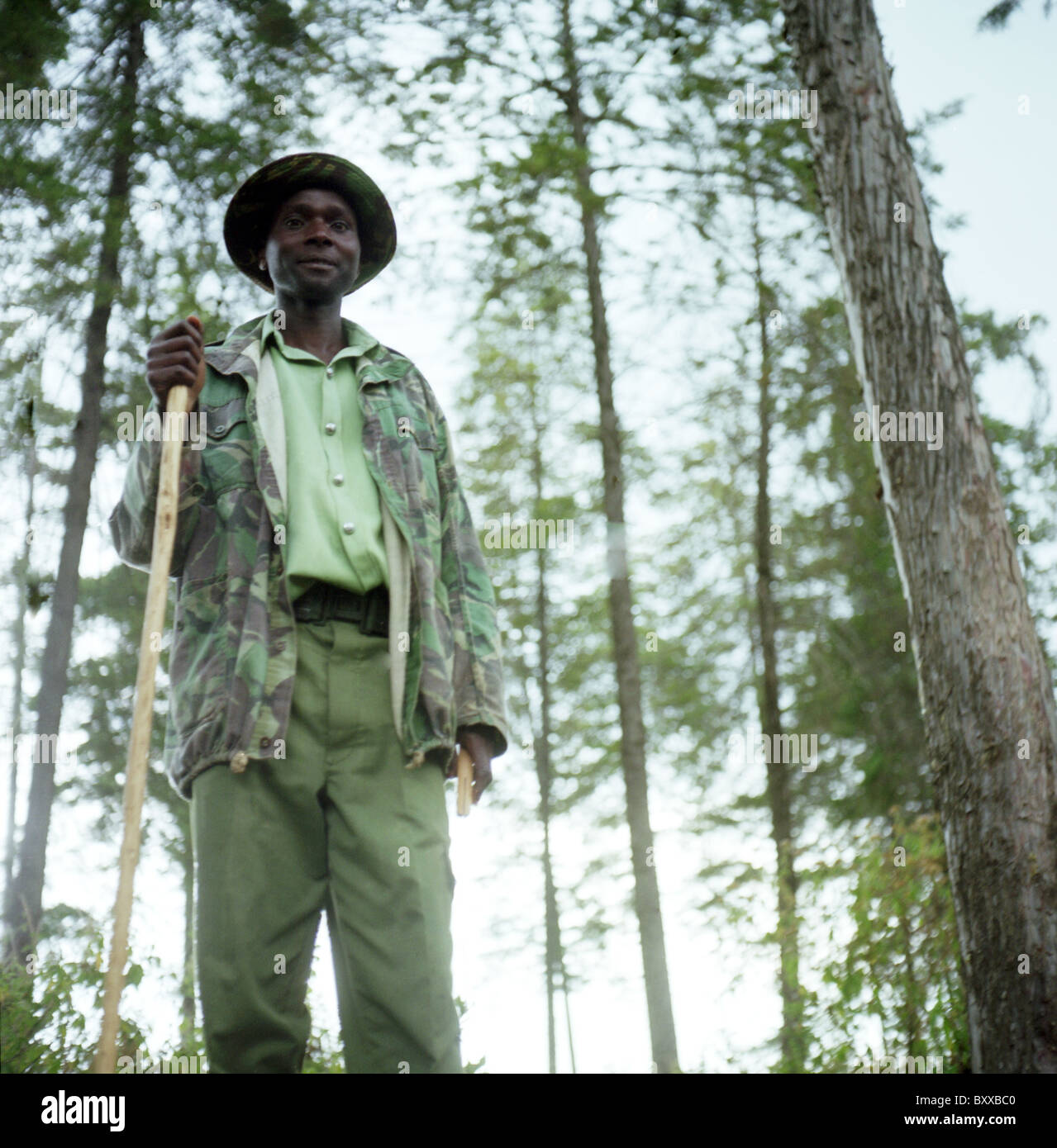 The trees and the woodman hires stock photography and images Alamy