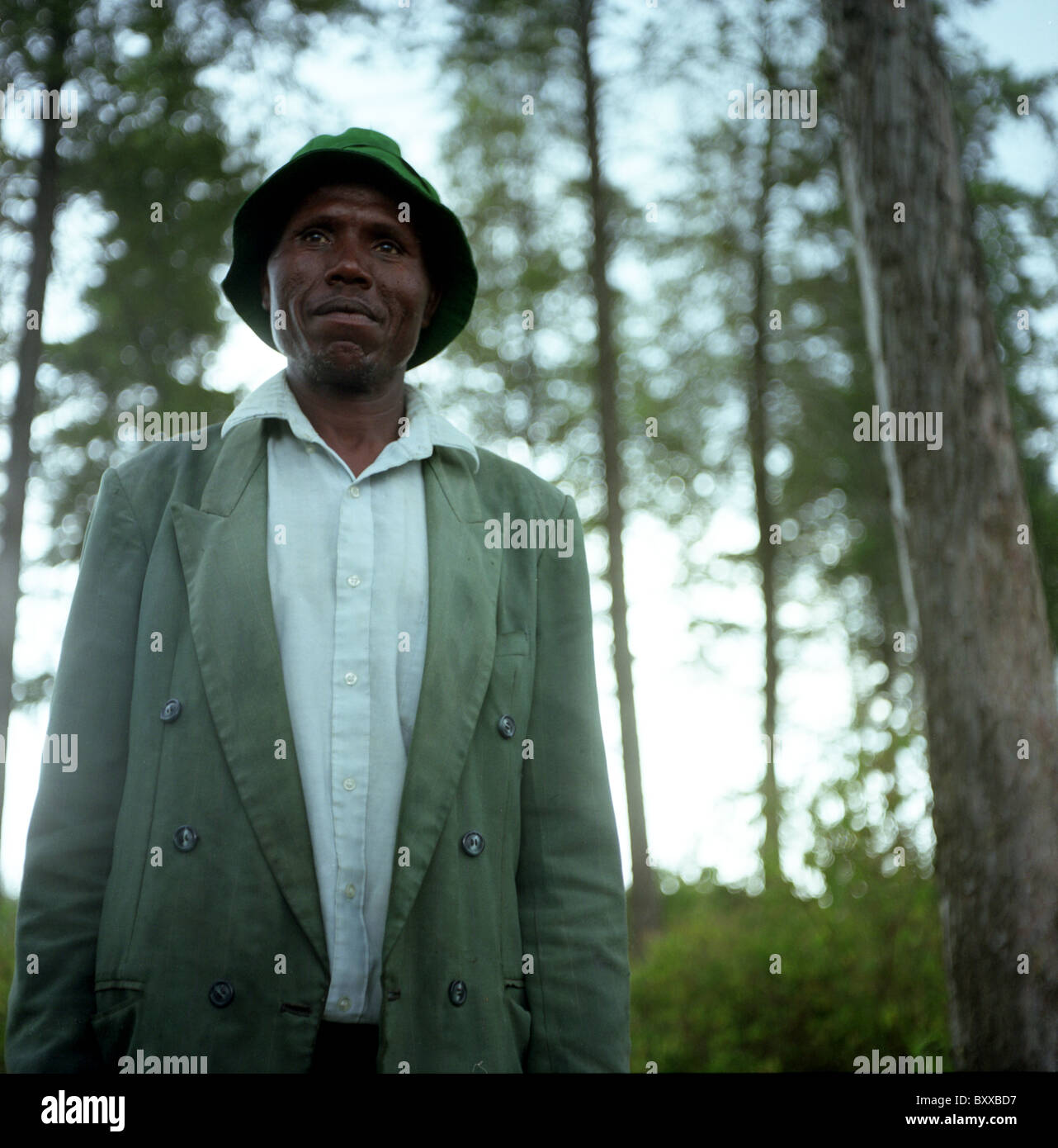 A woodman in the forest. Kenya Stock Photo Alamy