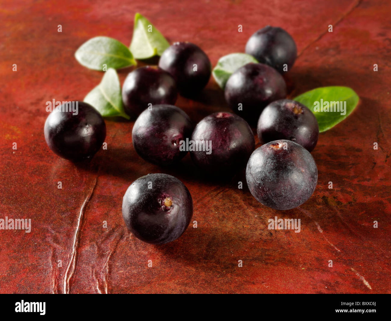 Acai Berries anti oxident fruit loose on a brown background Stock Photo