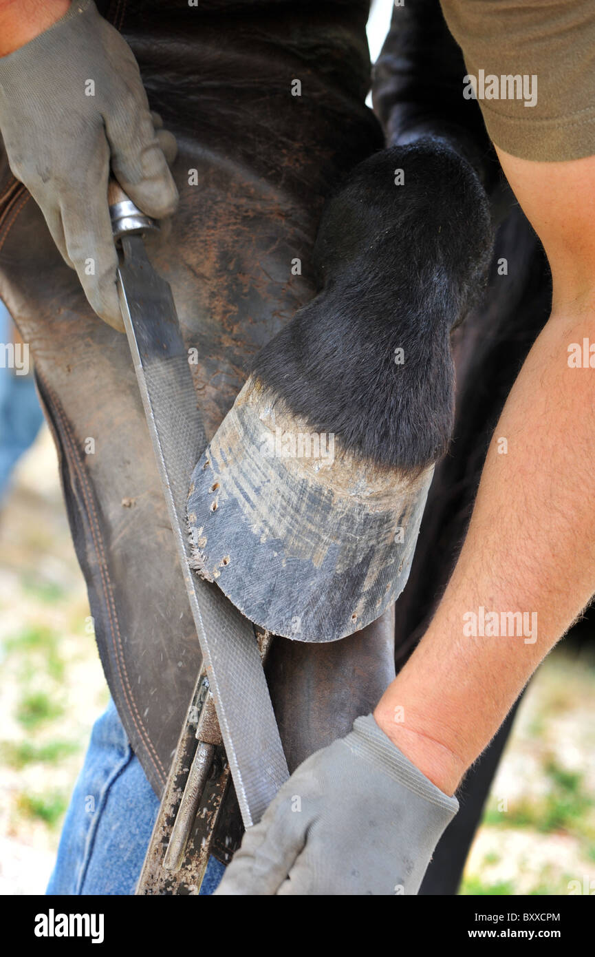 Farrier hires stock photography and images Alamy