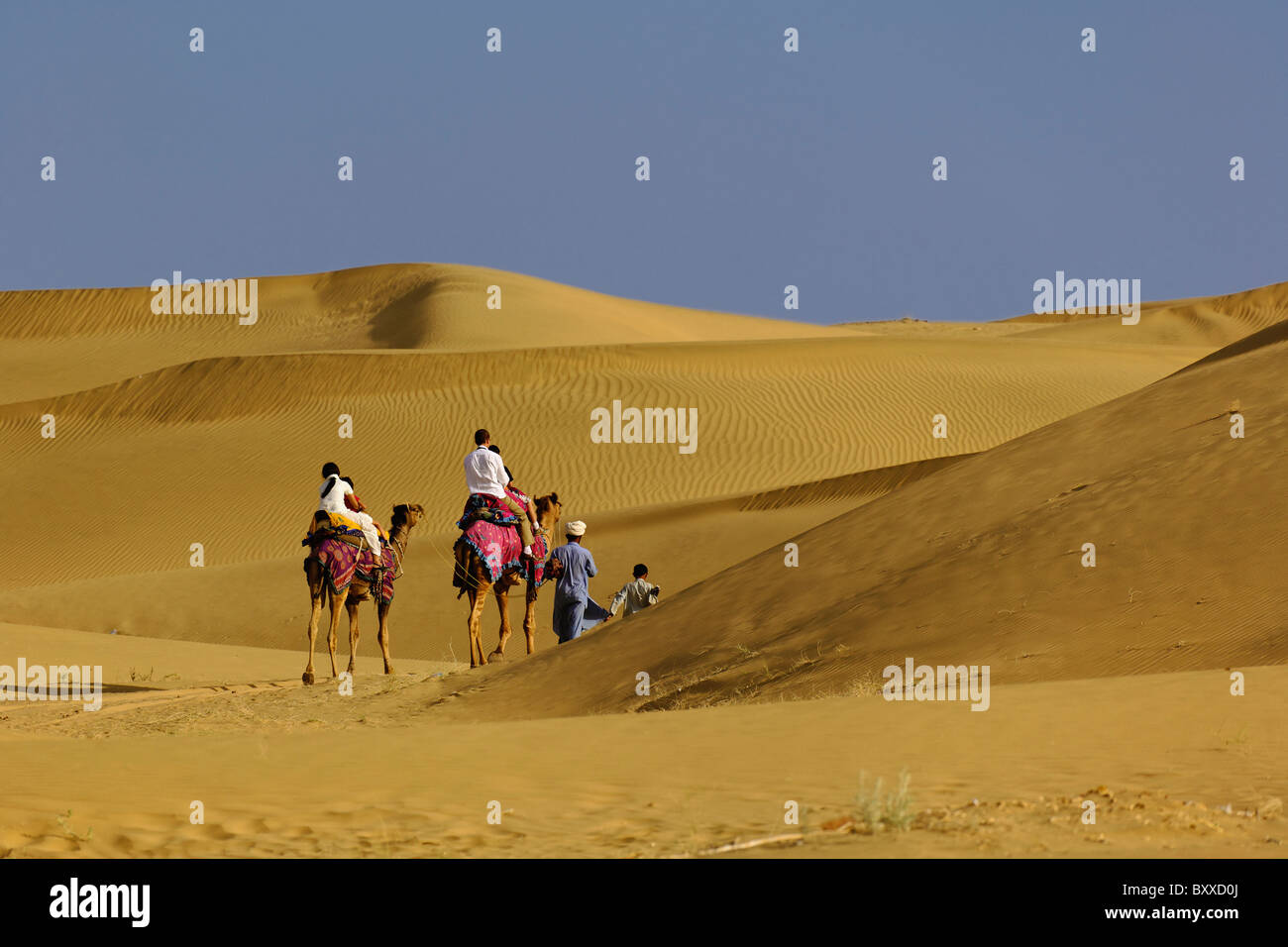Camel riding jodhpur hires stock photography and images Alamy