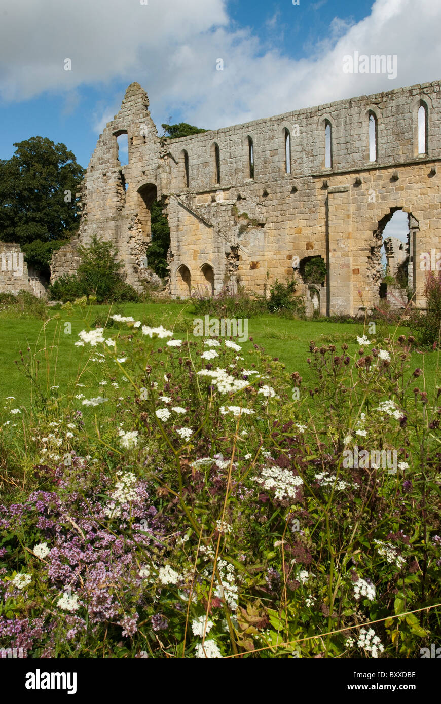 Jervaulx Abbey, near Masham, North Yorkshire UK Stock Photo