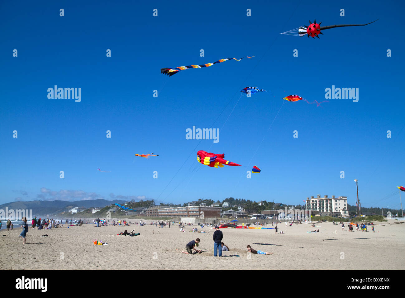People Flying Kites Stock Photos & People Flying Kites Stock Images Alamy