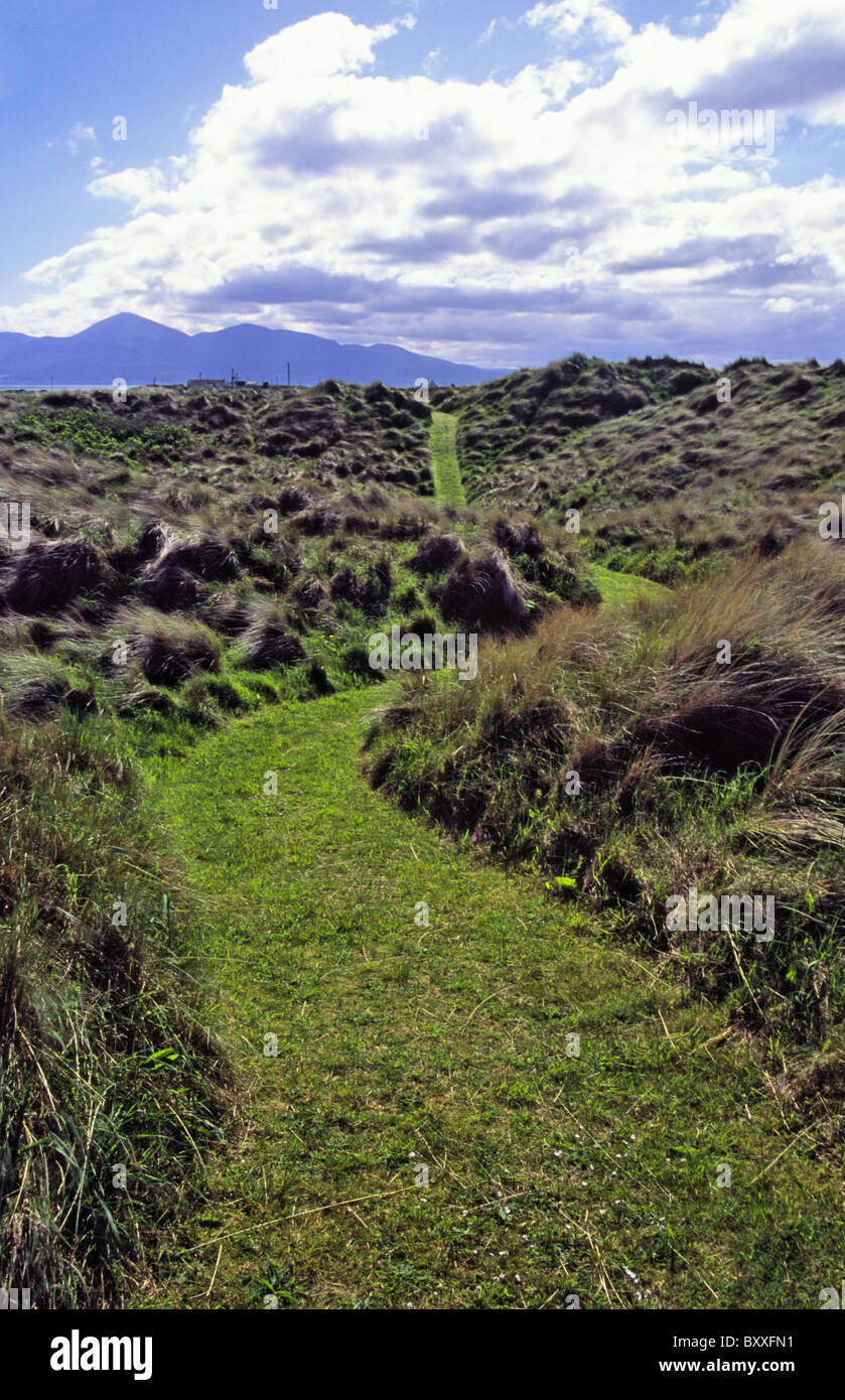 Tyrella Tyrella northern ireland hi-res stock photography and images - Alamy