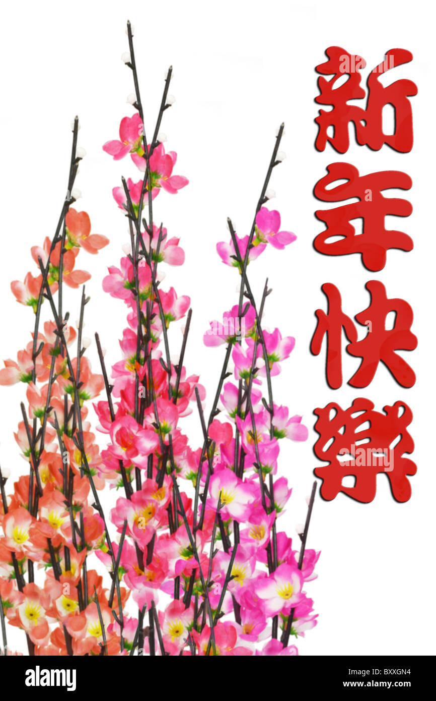 Chinese New Year greeting and plum blossom on white background Stock Photo