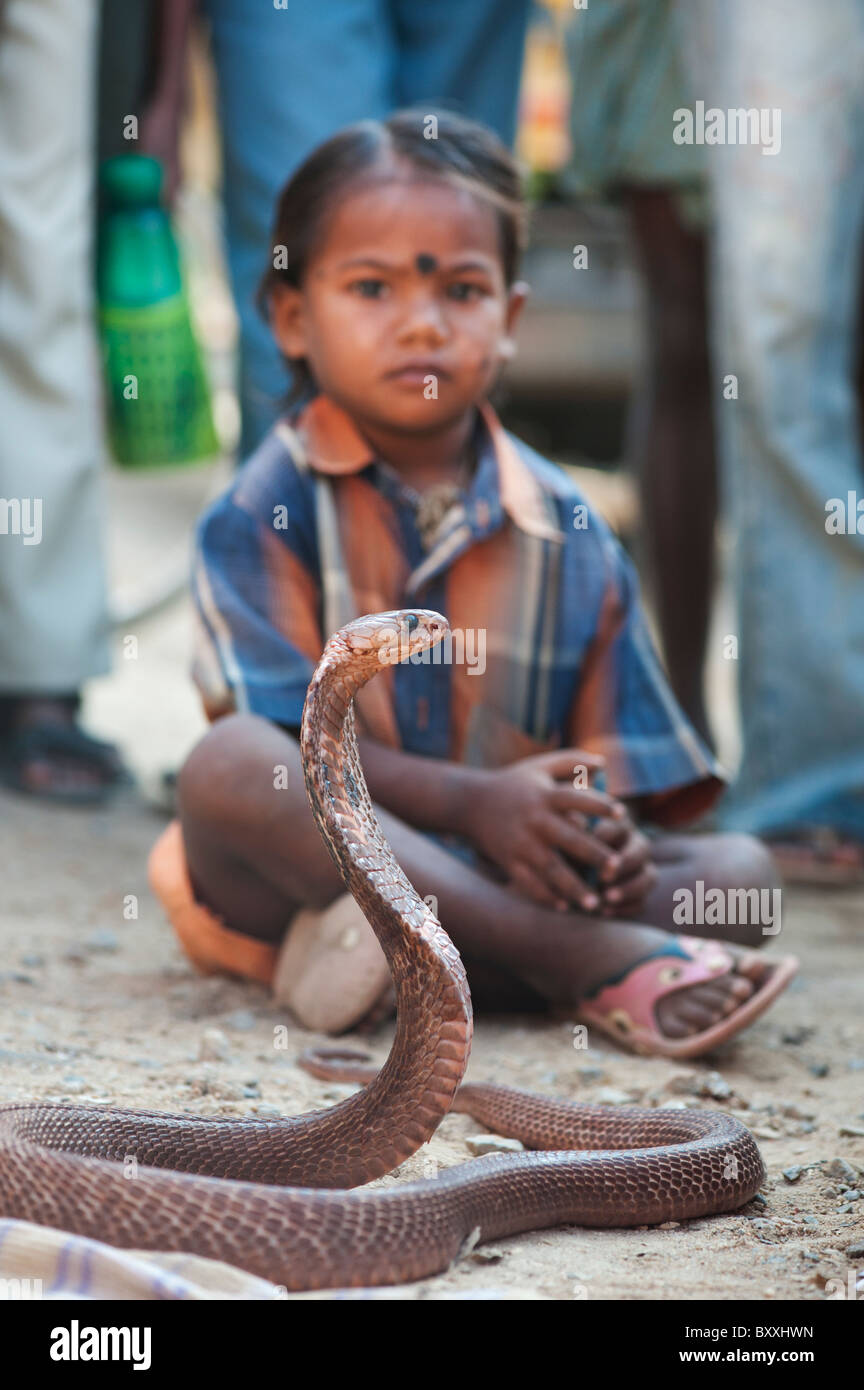 Poor lower caste indian girl begging with Spectacled Cobra on an India street. Andhra Pradesh, India Stock Photo
