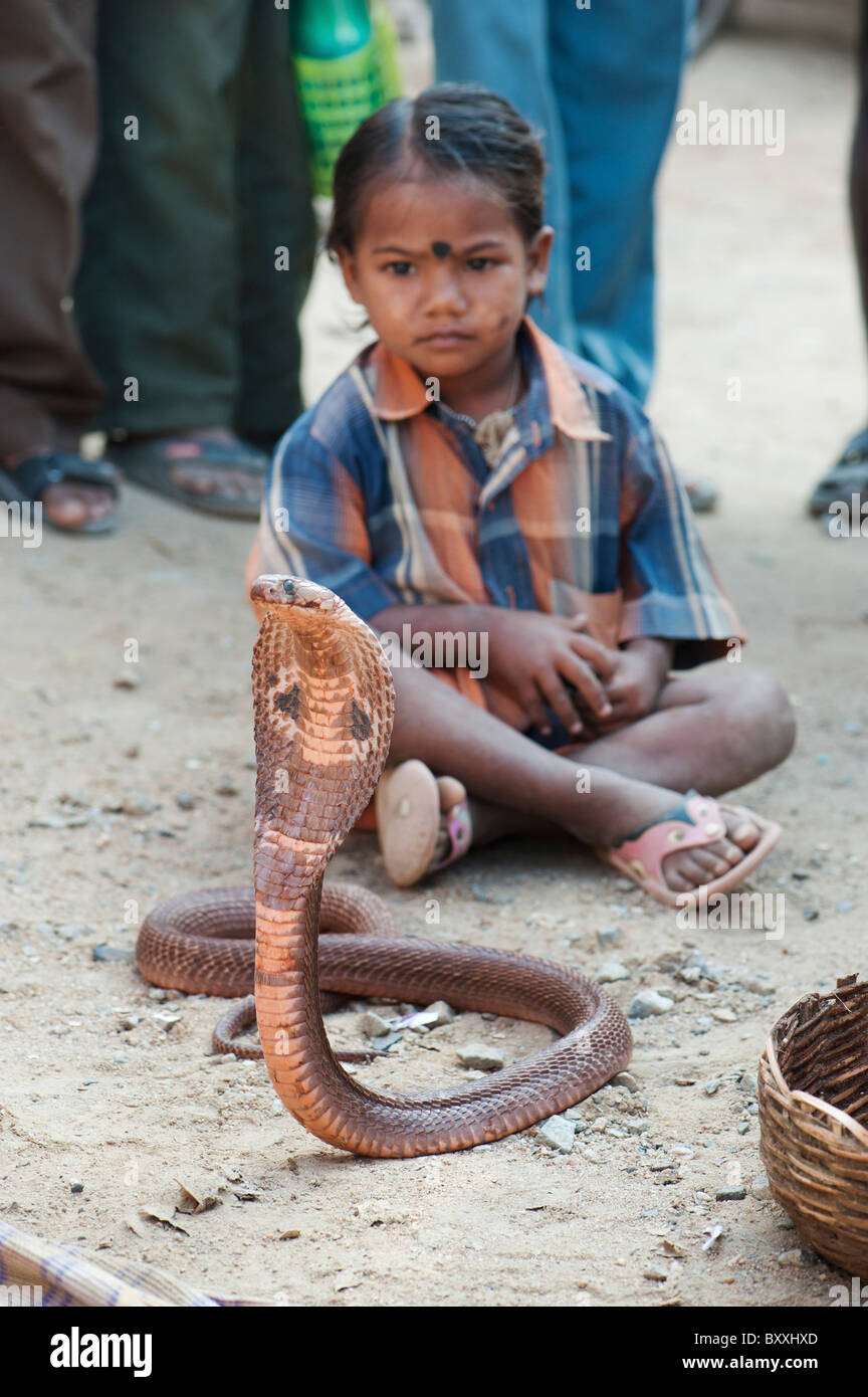 Poor lower caste indian girl begging with Spectacled Cobra  on an India street. Andhra Pradesh, India Stock Photo