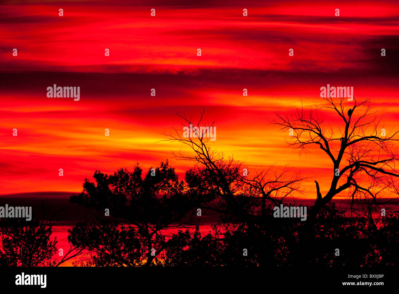 Amazing sunrise at bosque del apache hi-res stock photography and ...