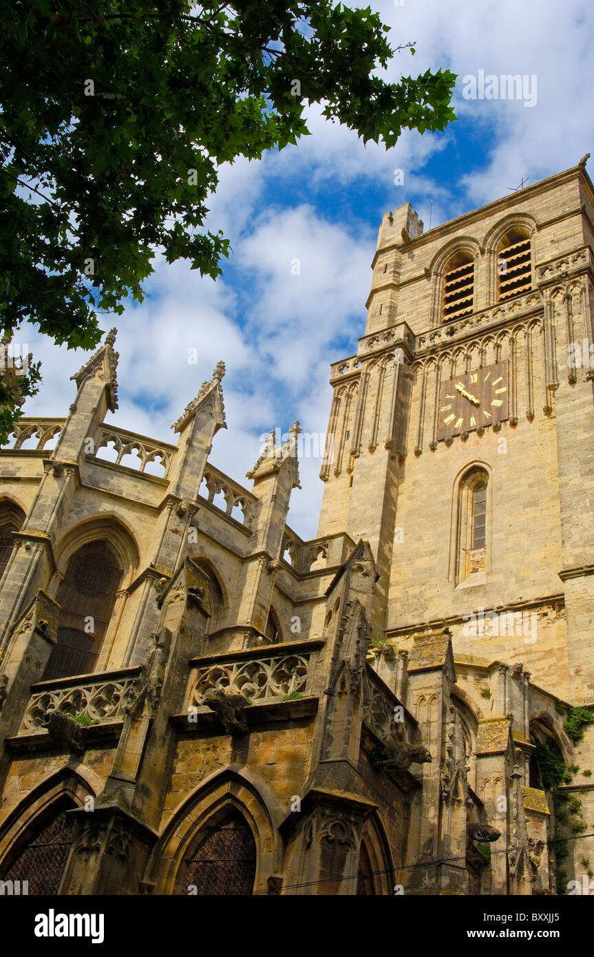 St-Nazaire cathedral (XIVth century). Béziers. Hérault, Languedoc ...