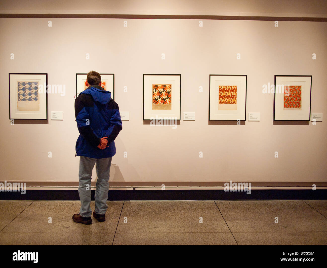 Man Viewing Escher Artwork in Gallery Stock Photo