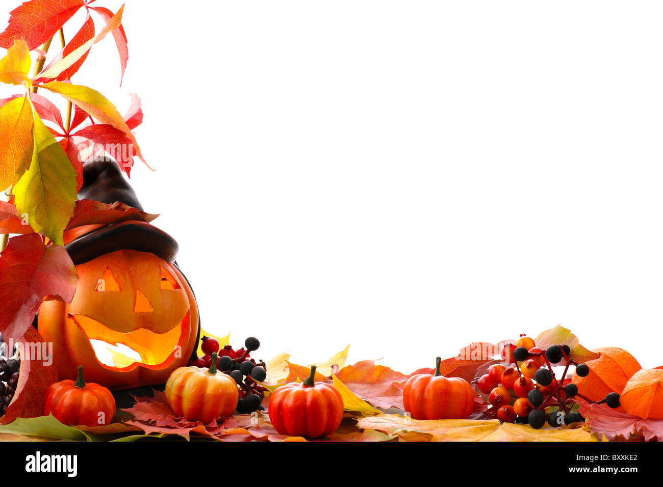 Fall leaves with pumpkin on white background Stock Photo - Alamy