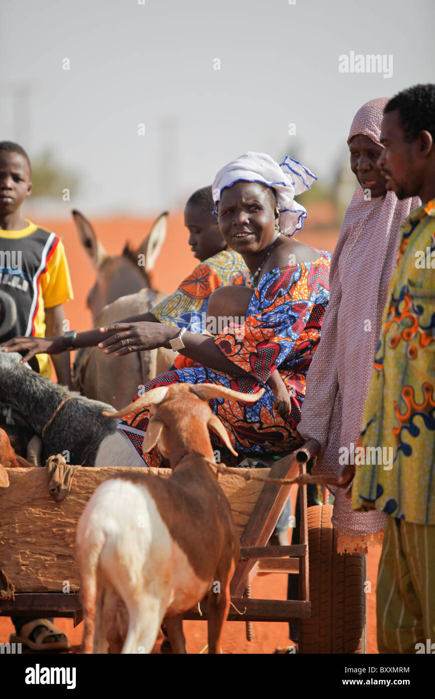 In northern Burkina Faso, a woman travels from her village to the the weekly Wednesday market in Djibo on a donkey cart. Stock Photo