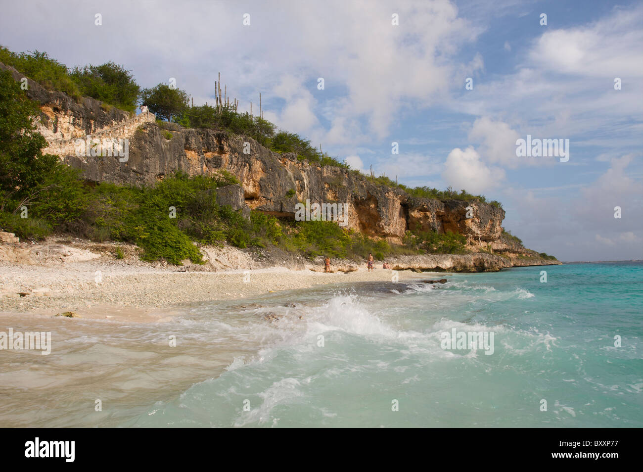 1000 Steps Dive site Bonaire Dutch Caribbean Netherlands Antilles Stock Photo Alamy
