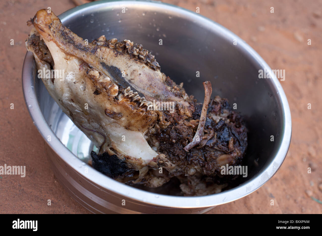 Head of a goat slaughtered for Eid-al-Adha, the religious festival of Tabaski, in Djibo, northern Burkina Stock Photo