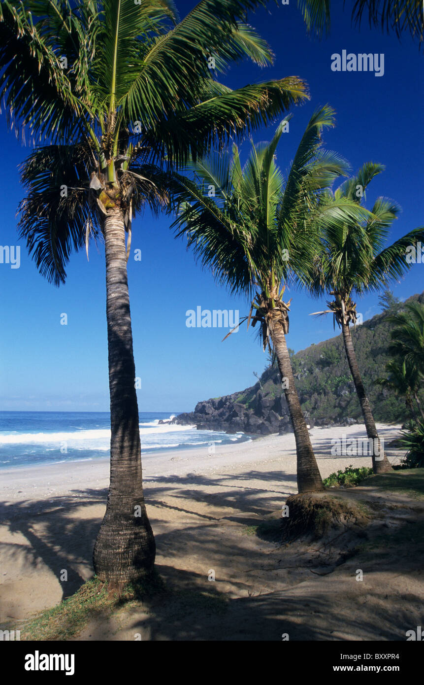 Grande Anse beach, Reunion island Stock Photo Alamy