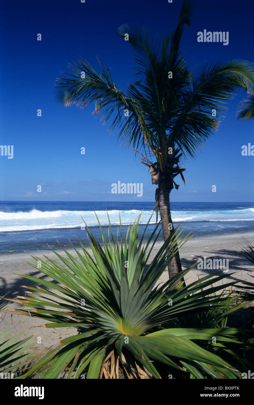 Grande Anse beach, La Reunion island (France), Indian Ocean Stock Photo