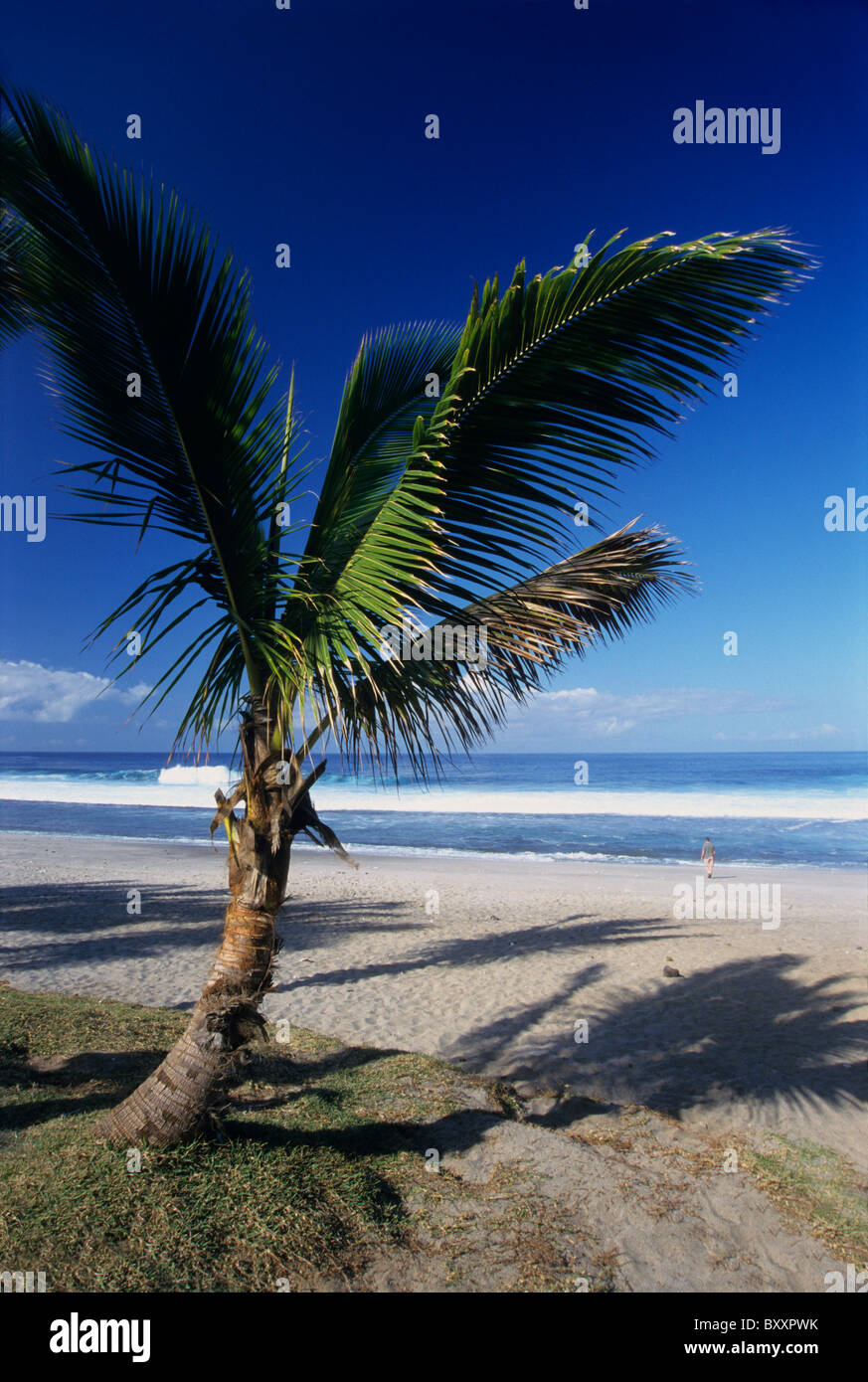 Grande Anse beach, La Reunion island (France), Indian Ocean Stock Photo