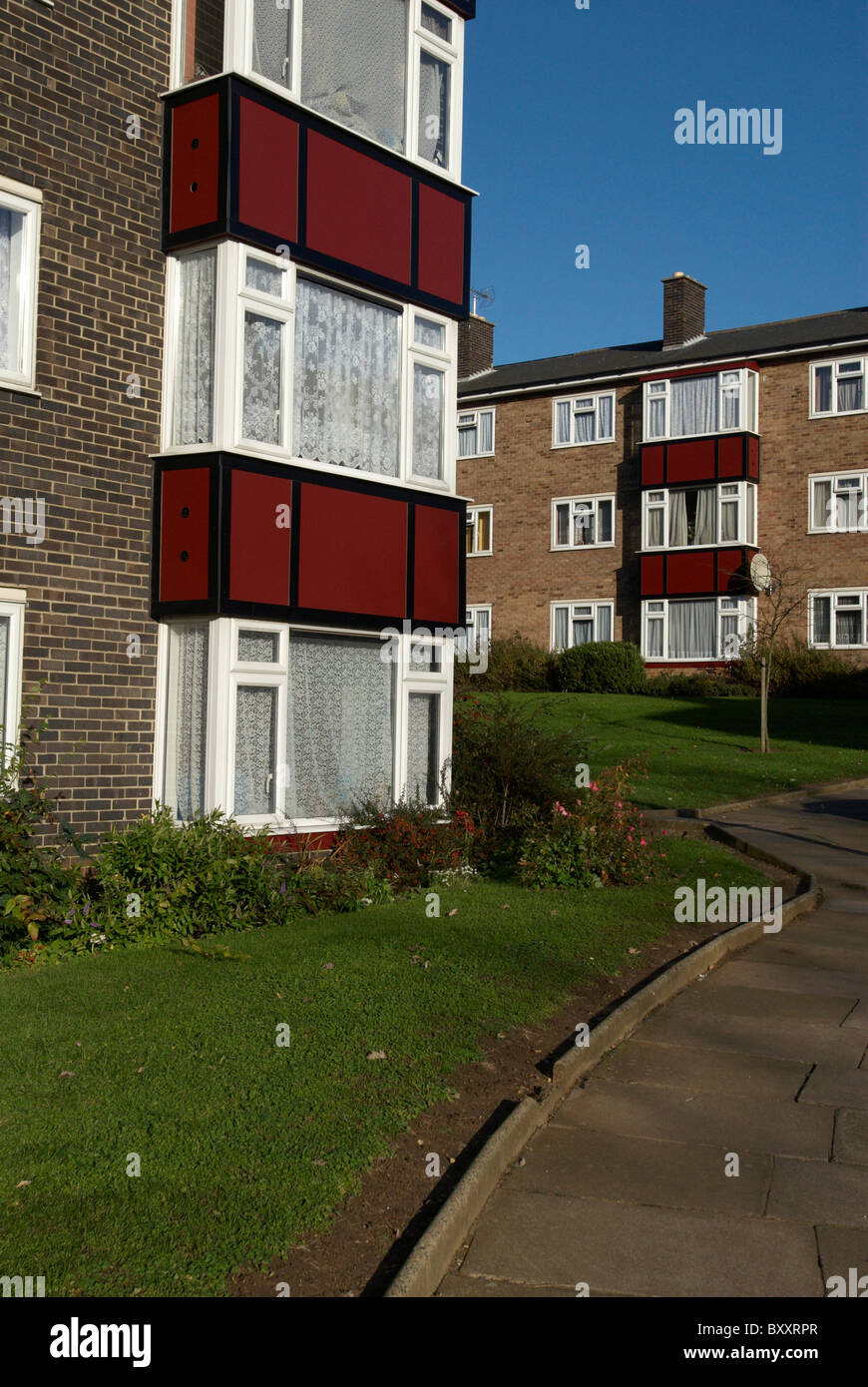 Council flats Ipswich UK Stock Photo Alamy