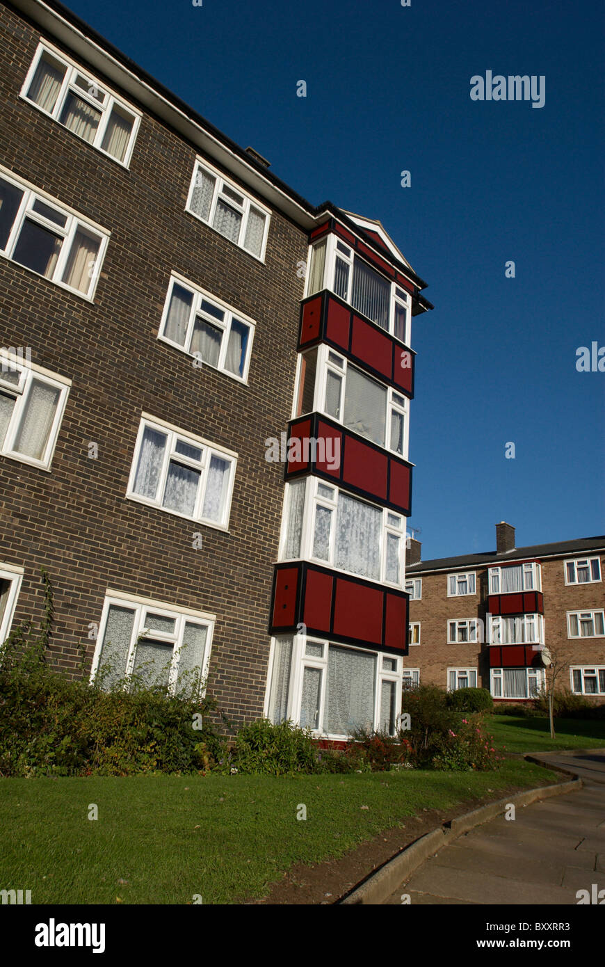Council flats Ipswich UK Stock Photo Alamy