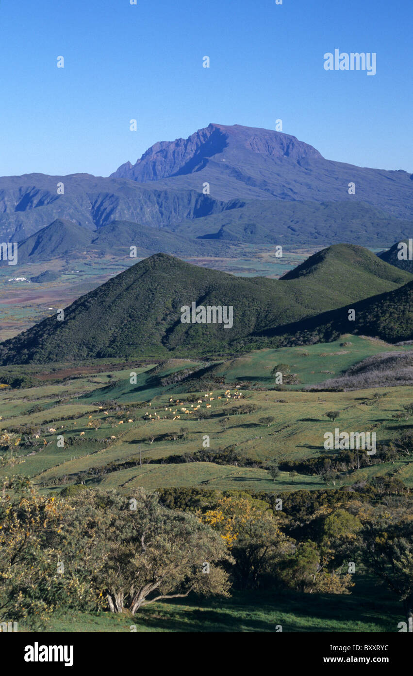 Plaine des Cafres and back Piton des Neiges peak, La Reunion island