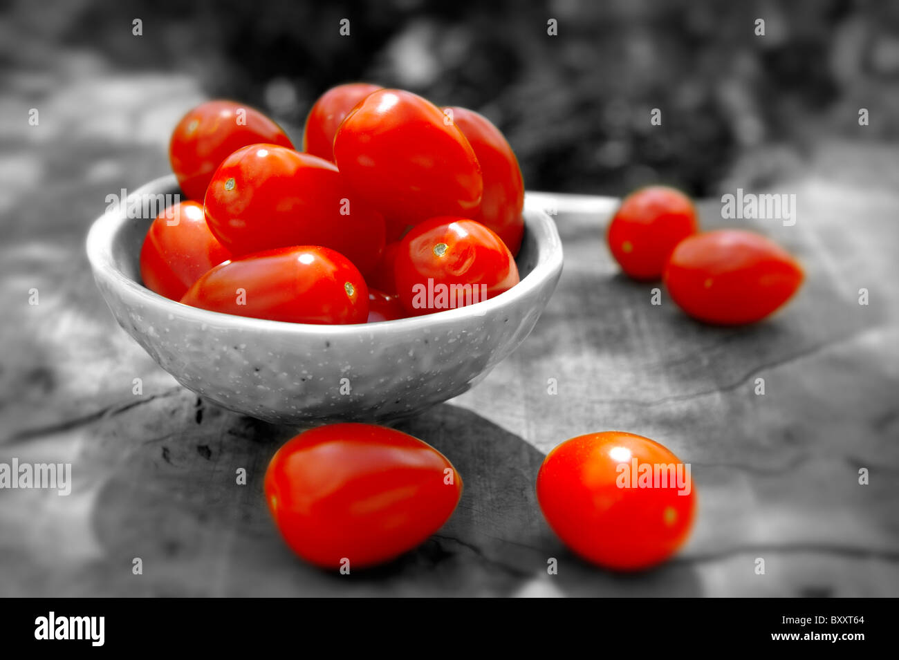 Fresh picked plum tomatoes Stock Photo
